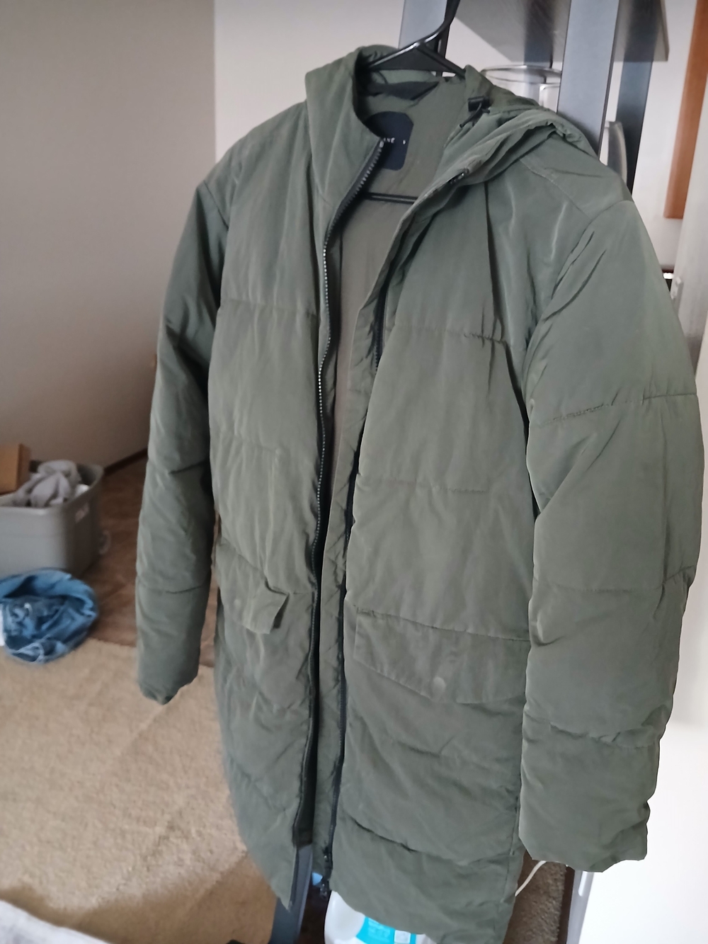 Everlane Olive Green Quilted Puffer Coat with Hood